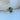 Fiore Alpha x Beta Forest Green Sapphire Oval Engagement Ring  Engagement Ring 14k Gold