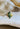 Complete Fiore Alpha + Beta engagement ring by EidelPrecious featuring an IGI-certified green marquise lab-grown diamond, lab diamond accents and 14k yellow gold